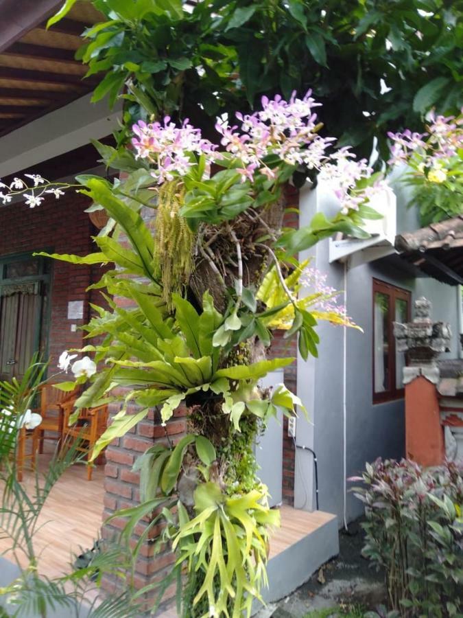 Twins Homestay Canggu Dış mekan fotoğraf